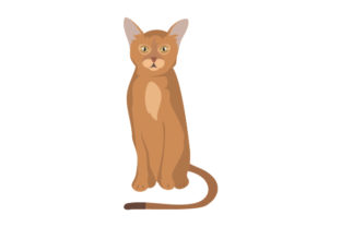 Abyssinian Cat Embroidery Design