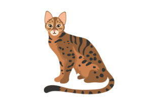 Begal Cat Embroidery Design