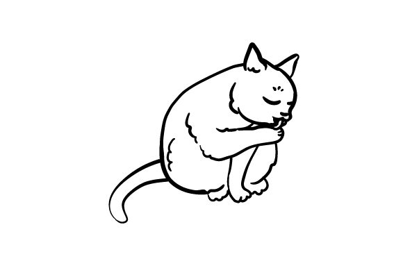 Cat Cleaning Itself
