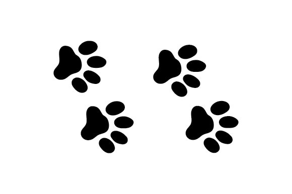 Cat Foot Prints Review