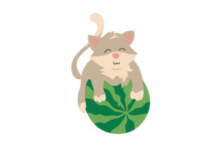 Cat Playing with a Watermelon