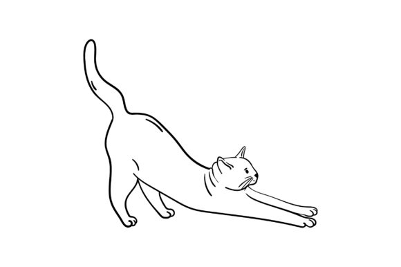 Cat Stretch Embroidery Design