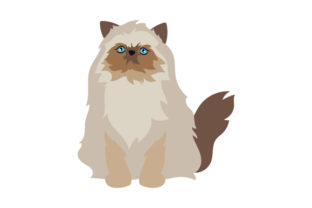 Himalayan Cat Embroidery Design