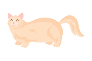 Munchkin Cat Embroidery Design