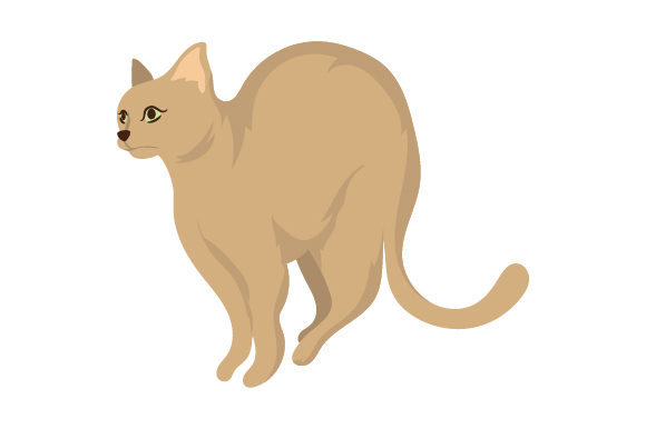 Scared Cat Embroidery Design
