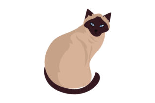 Siamese Cat Embroidery Design