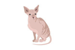 Sphynx Cat Embroidery Design