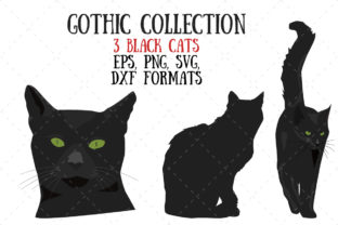 Three Black Cats Review