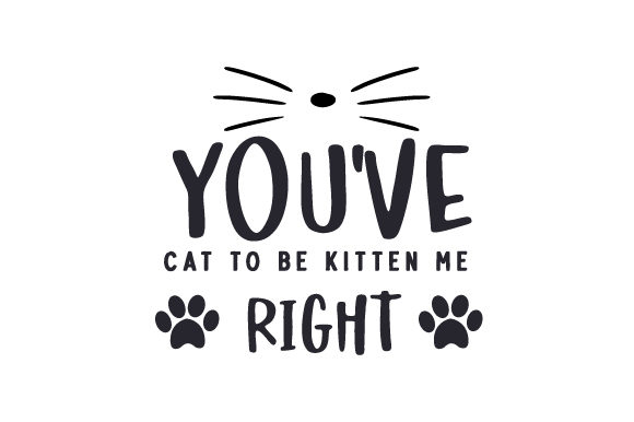 You ve Cat to Be Kitten Me Right